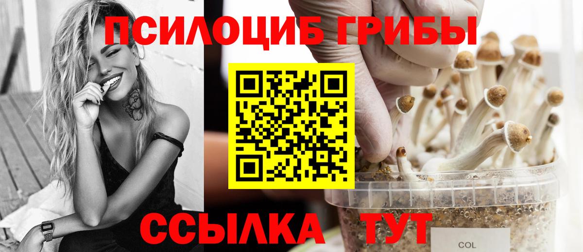 Галлюциногенные грибы MAGIC MUSHROOMS Городец