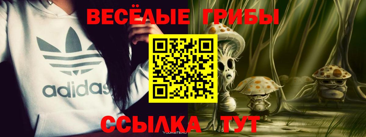 Городец  Псилоцибиновые грибы Psilocybe  Вход с VPN 